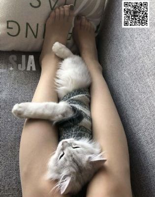 国产娇妻连续高潮_高清视频大全